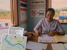 Sustainable Shipping Practices Gaining Attention Among Small Operators