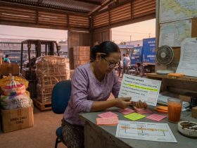 Seasonal Peaks and Capacity Planning in Regional Logistics